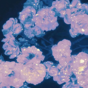 成人免费视频❌❌❌在线观看
