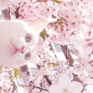 成人免费视频❌❌❌在线观看
